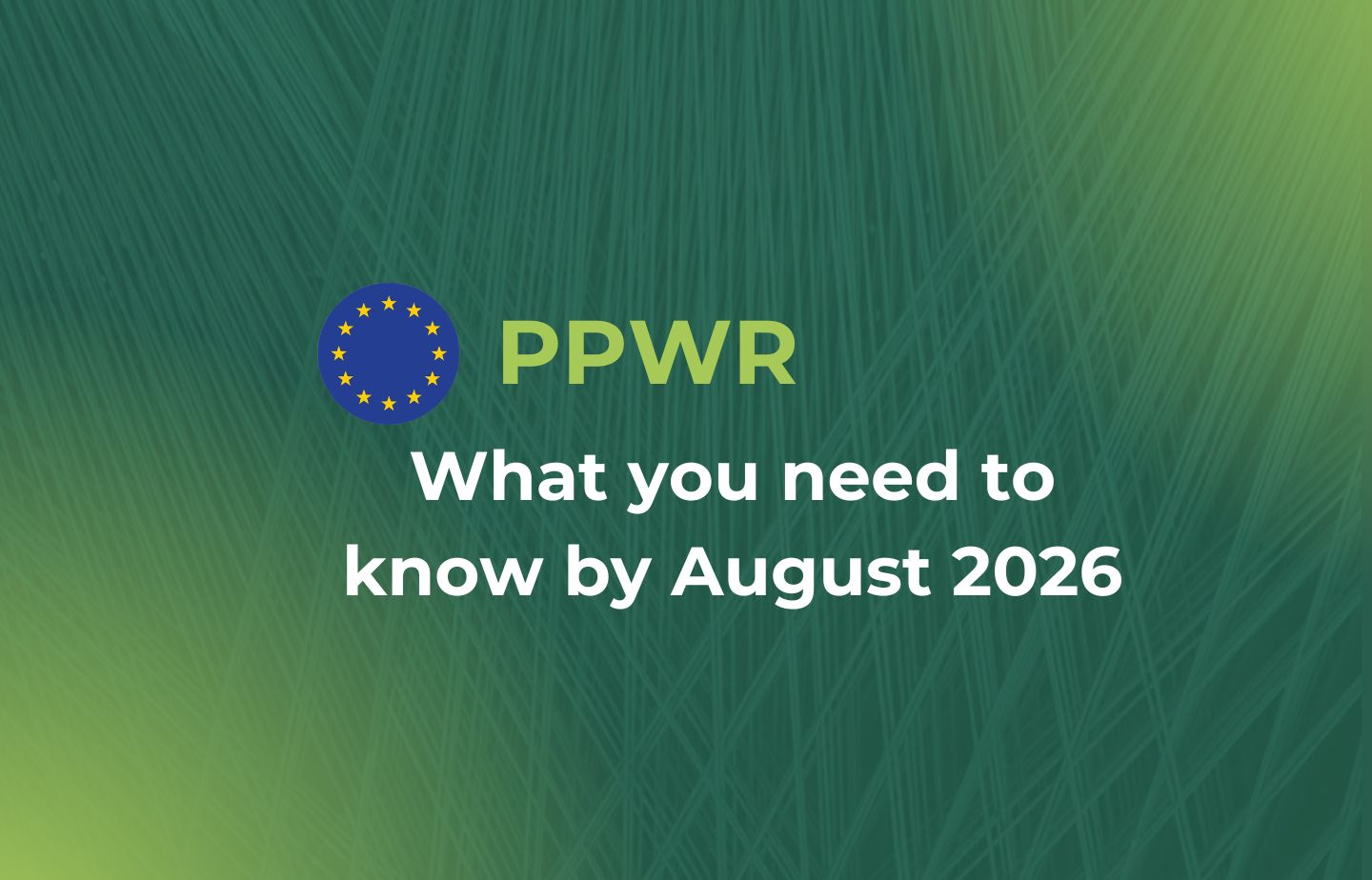 PPWR: Was Sie bis August 2026 wissen müssen